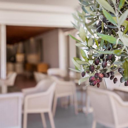 Paul Marie Hotel Apartments Ayia Napa Eksteriør billede