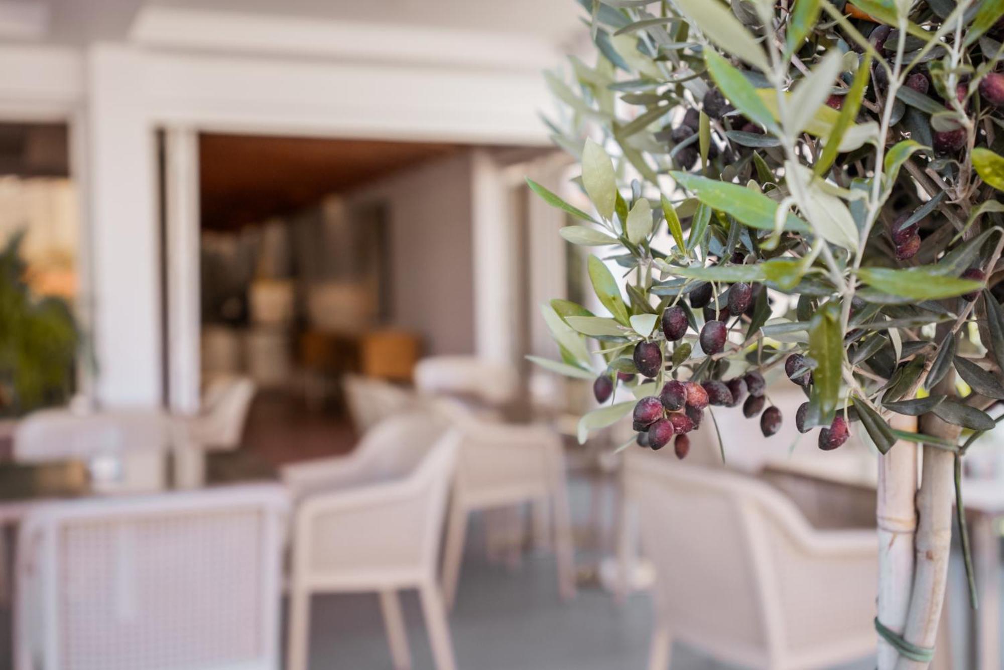 Paul Marie Hotel Apartments Ayia Napa Eksteriør billede